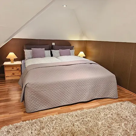 Exclusive Dachgeschosswohnung In Haren/emmeln Haren
