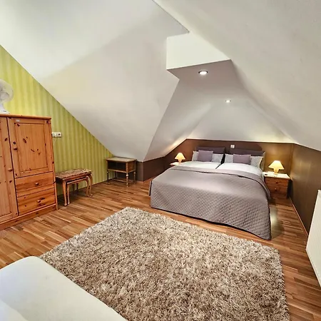 Exclusive Dachgeschosswohnung In Haren/emmeln Apartment *